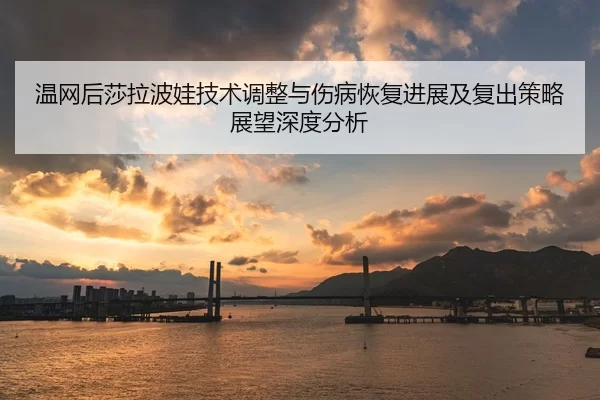 wen-wang-hou-sha-la-bo-wa-ji-shu-tiao-zheng-yu-shang-bing-hui-fu-jin-zhan-ji-fu-chu-ce-lve-zhan-wang-shen-du-fen-xi-2-310.jpg